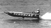 Scrubcat IV